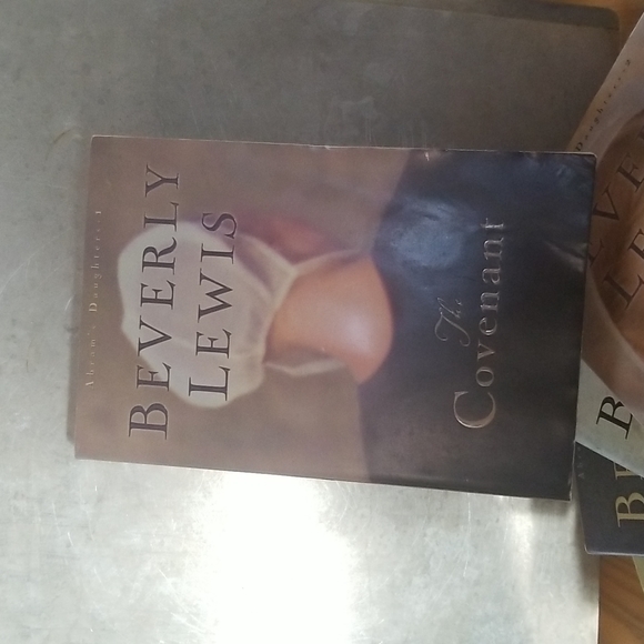 Beverly Lewis 5 books Abrams Daughters series - Picture 7 of 8